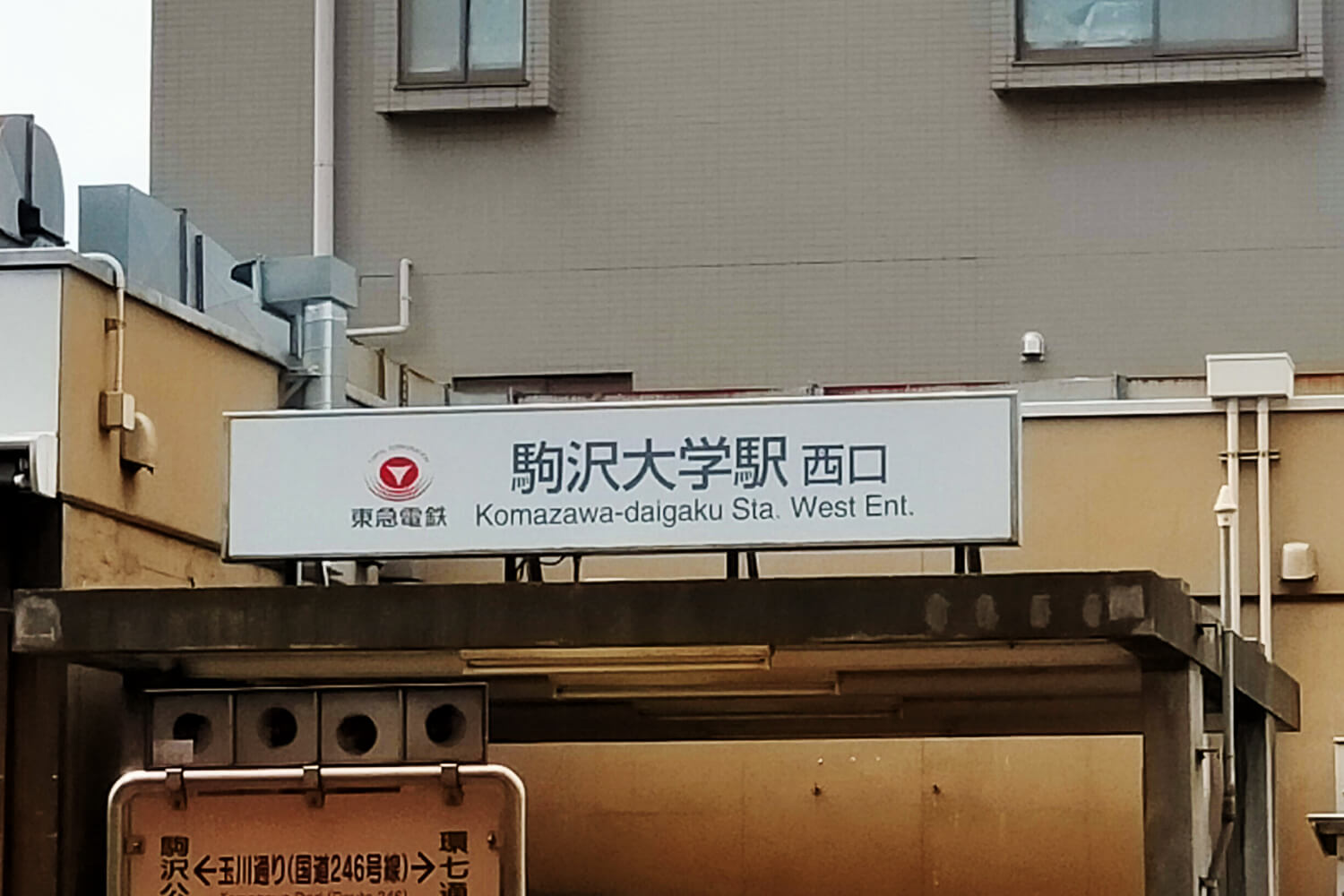 駒沢大学のハウスクリーニング1