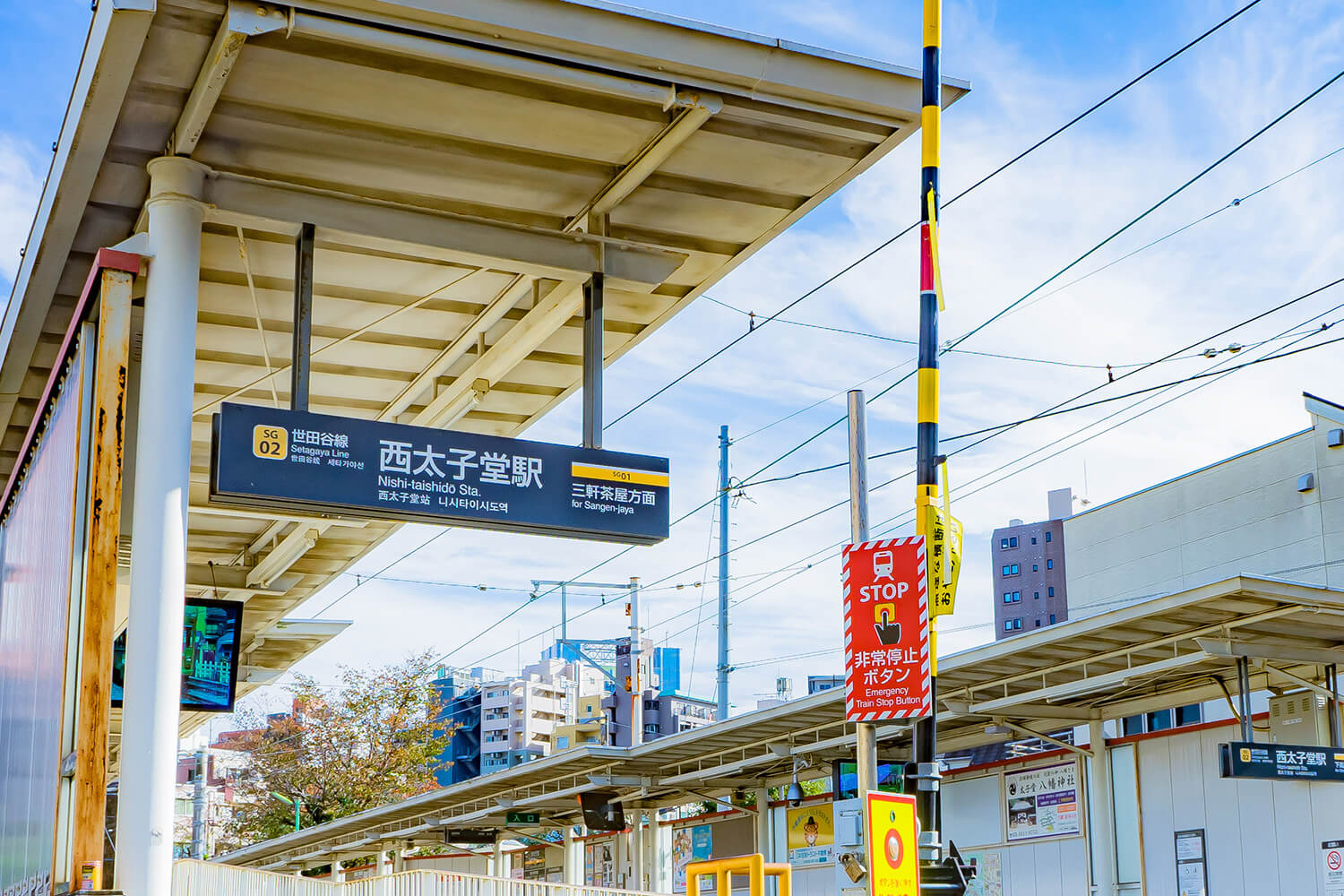 西太子堂のハウスクリーニング1