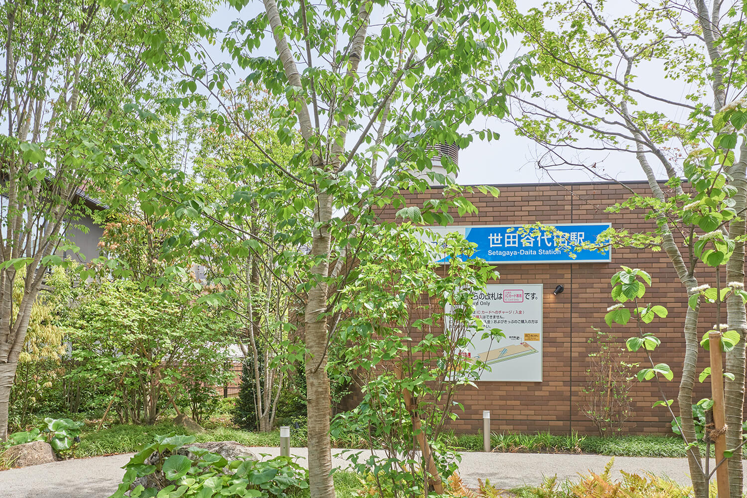 世田谷代田のハウスクリーニング1