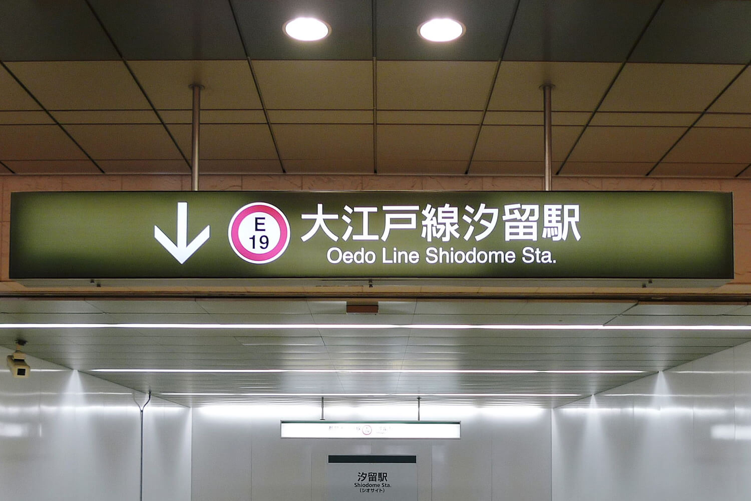 汐留のハウスクリーニング1